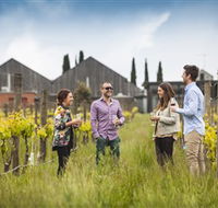Willow Creek Vineyard - Tourism Caloundra