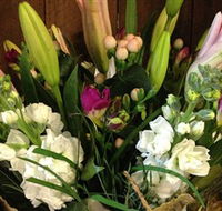 Alpine Blooms Florist Mansfield - Tourism Caloundra