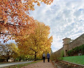 Beechworth Historic Park - Tourism Caloundra 0