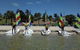 Royal Geelong Yacht Club - thumb 5