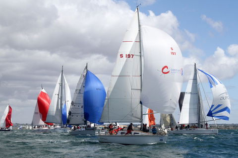 Royal Geelong Yacht Club - Tourism Caloundra 14