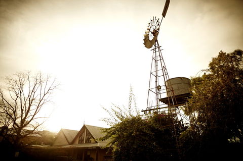 Brown Brothers Milawa Vineyard - Tourism Caloundra 1