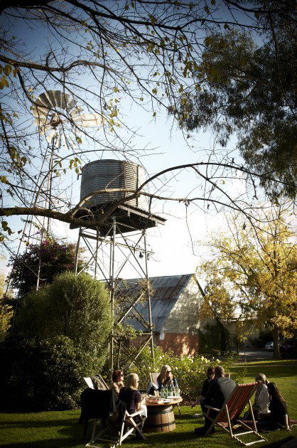 Brown Brothers Milawa Vineyard - Tourism Caloundra 5