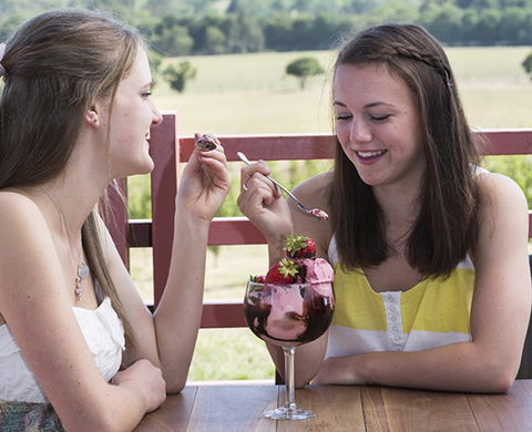 Yarra Valley Chocolaterie & Ice Creamery - Tourism Caloundra 8