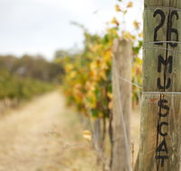 Stanton and Killeen Wines - Tourism Caloundra