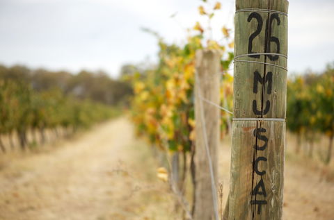 Stanton And Killeen Wines - Tourism Caloundra 0