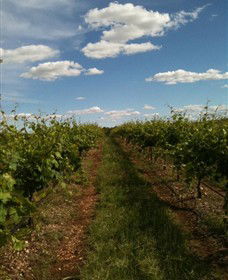 Chambers Rosewood Winery - Tourism Caloundra 0