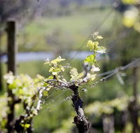 Coldstream Hills - Tourism Caloundra