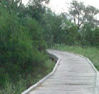 Shepherds Bush - Tourism Caloundra