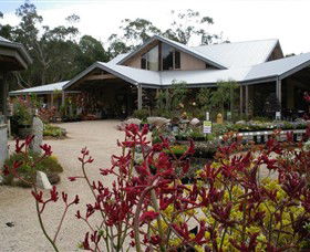 Kuranga Native Nursery And Paperbark Cafe - Tourism Caloundra 0