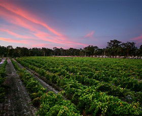 Red Lion VIC Tourism Caloundra
