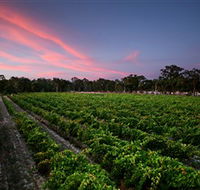Amherst Winery - Tourism Caloundra
