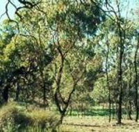 Leaghur State Park - Tourism Caloundra
