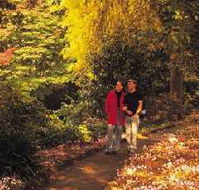 George Tindale Memorial Gardens - Tourism Caloundra