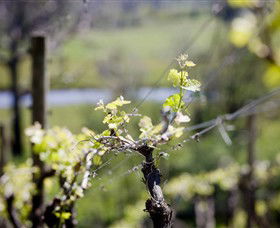 Lindemans Karadoc Winery - Tourism Caloundra 0