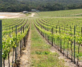 M Chapoutier Australia - Tourism Caloundra 0