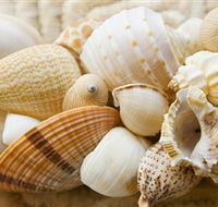 Anglesea Beach Club - Tourism Caloundra