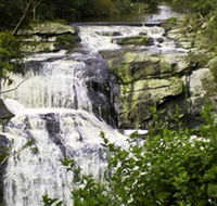 Agnes Falls Scenic Reserve - Tourism Caloundra