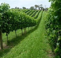 The Cups Estate - Tourism Caloundra