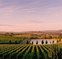 Oakridge Wines - Tourism Caloundra