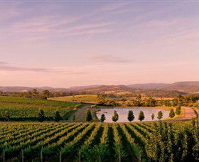 Oakridge Wines - Tourism Caloundra 0