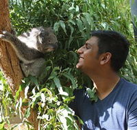 Healesville Sanctuary - Tourism Caloundra