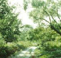 Holey Plains State Park - Tourism Caloundra