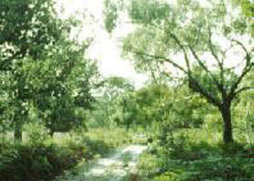 Holey Plains State Park - Tourism Caloundra 0