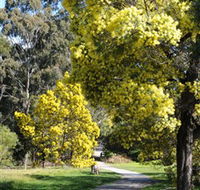 Wattle Park - Tourism Caloundra