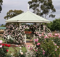 Morwell Centenary Rose Garden - Tourism Caloundra