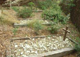 Collins Settlement Historic Site - Tourism Caloundra 0