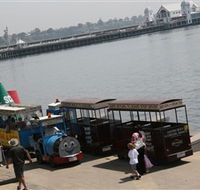 Waterfront Train Tours and Bungy Trampoline - Tourism Caloundra