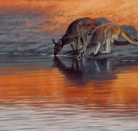 Steve Morvell Wildlife Art - Tourism Caloundra