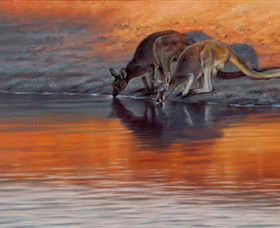 Steve Morvell Wildlife Art - Tourism Caloundra 0
