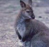 Churchill National Park - Tourism Caloundra