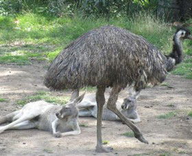 Bundoora Park - Tourism Caloundra 0
