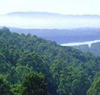 Kalorama Park - Tourism Caloundra