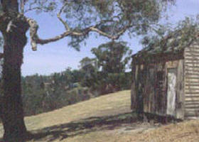 Hawkstowe Picnic Area - Tourism Caloundra 0