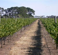 Mount Beckworth Wines - Tourism Caloundra