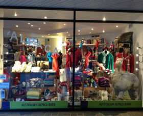 Australian Alpaca Barn - Tourism Caloundra 0