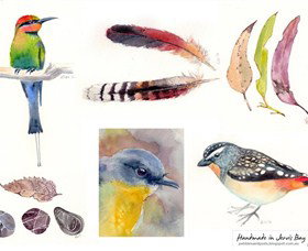 Pebbles And Pods - Tourism Caloundra 0