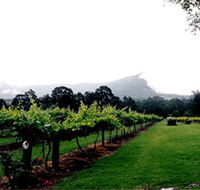 Cambewarra Estate Wines - Tourism Caloundra