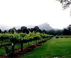 Cambewarra Estate Wines - Tourism Caloundra 0