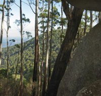 Gulaga National Park - Tourism Caloundra