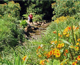 Bonaira Native Gardens - Tourism Caloundra 0