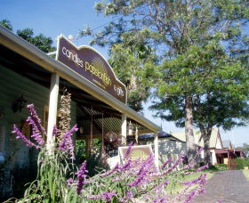 Passionfish Candles - Tourism Caloundra 0