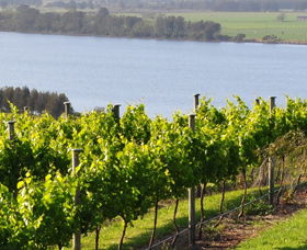 Shoalhaven Heads NSW Tourism Caloundra
