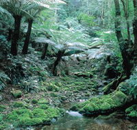 Deua National Park - Tourism Caloundra