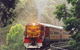 Cockatoo Run - Scenic Tour Train Operated By 3801 Limited - thumb 0