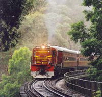 Cockatoo Run - Scenic Tour Train operated by 3801 Limited - Tourism Caloundra
